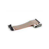Raspberry Pi 40 Pin GPIO Kabel (Buchse/Stecker)